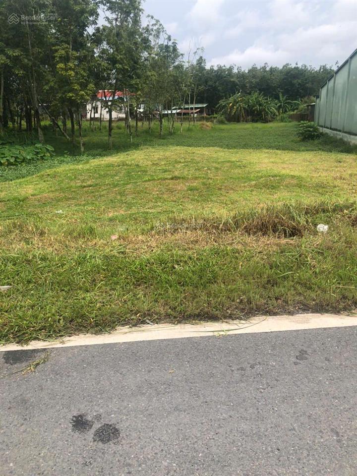Bán đất 1000m2 có sẵn 300 m2 thổ cư giá 32 tỷ tại xã an nhơn tây huyện củ chi tp. hồ chí minh