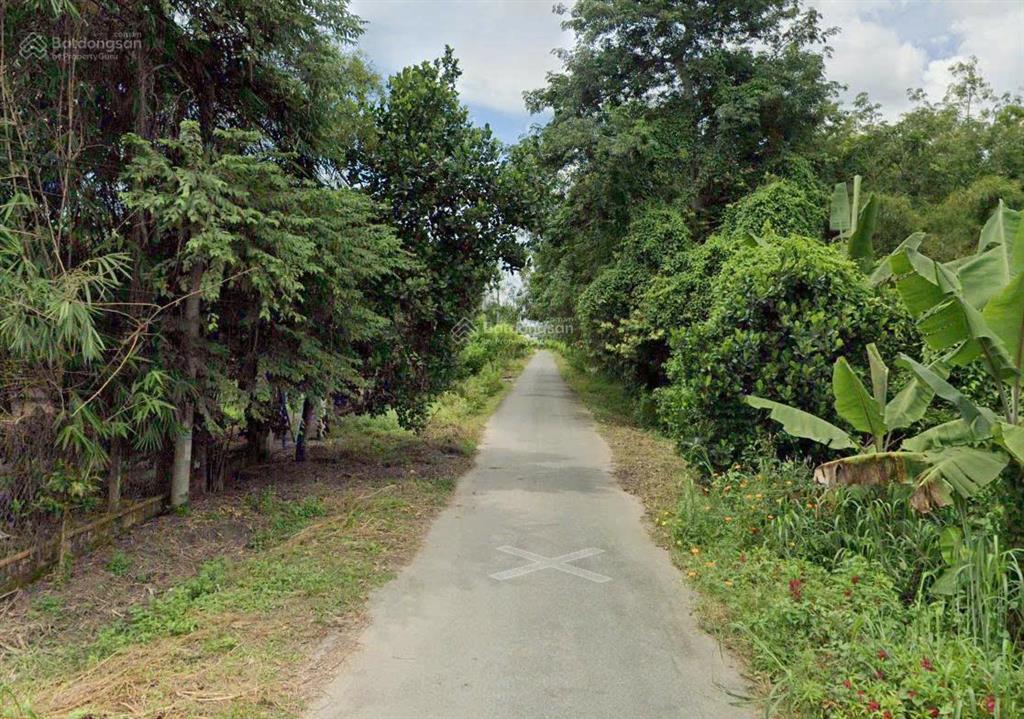 Bán lô đất cây lâu năm 1458m2 tại an nhơn tây, củ chi sổ hồng riêng, pháp lý chuẩn