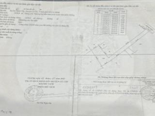 Bán lô đất cây lâu năm 1458m2 tại an nhơn tây, củ chi sổ hồng riêng, pháp lý chuẩn