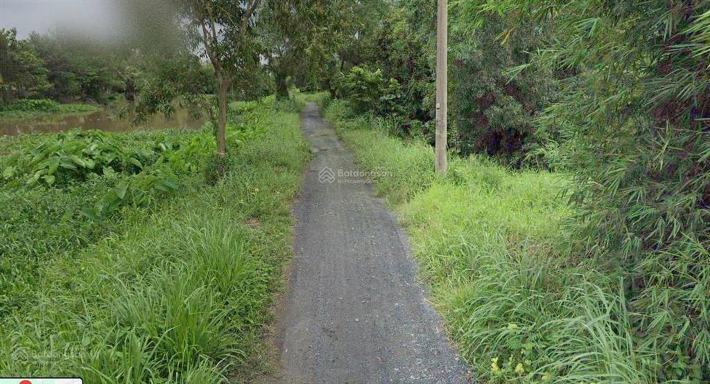 Bán đất 565m² có sẵn 300m² thổ cư ngang 21.9m giá 13.56 tỷ tại xã bình mỹ