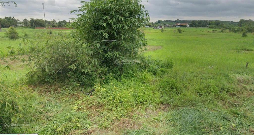 Bán đất 565m² có sẵn 300m² thổ cư ngang 21.9m giá 13.56 tỷ tại xã bình mỹ