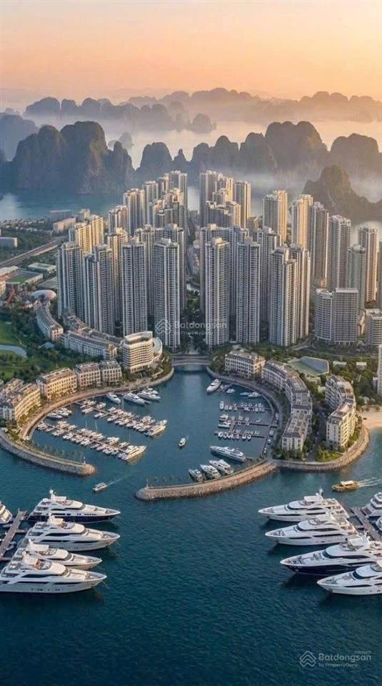 Chỉ từ hơn 1 tỷ sở hữu ngay căn liền kề 50m2 | view biển | khai thác cho thuê lợi nhuận cao