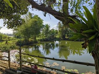 Nhà vườn ngay trung tâm chợ trường