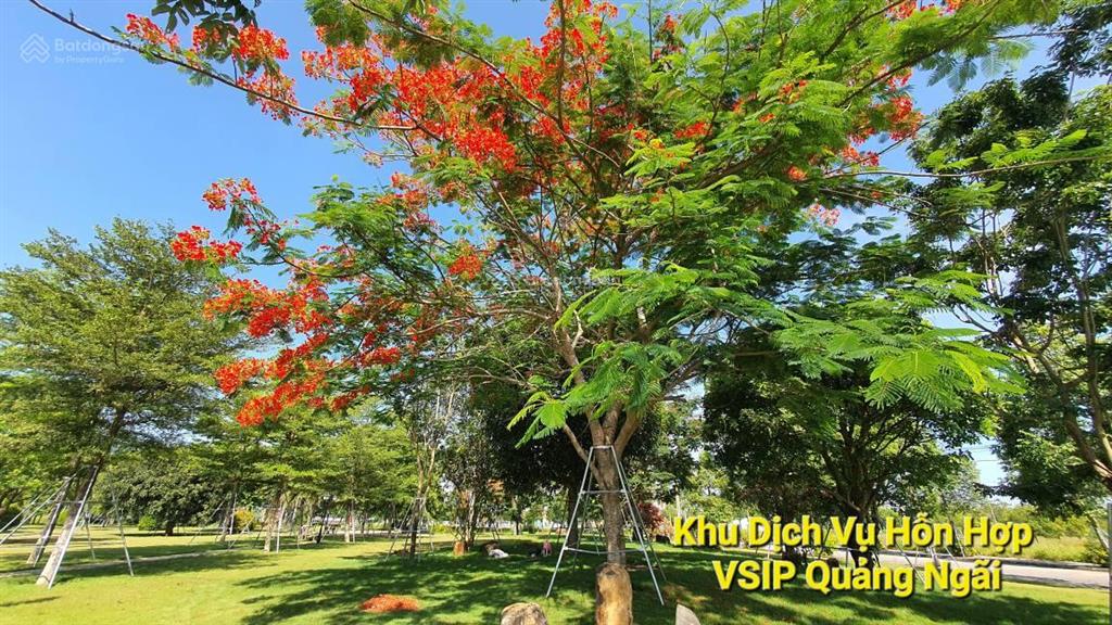 Lô 132m2, khu dvhh vsip quảng ngãi, có công viên kề bên mát mẻ, 14tr/m2, sẽ được chiết khấu 5%