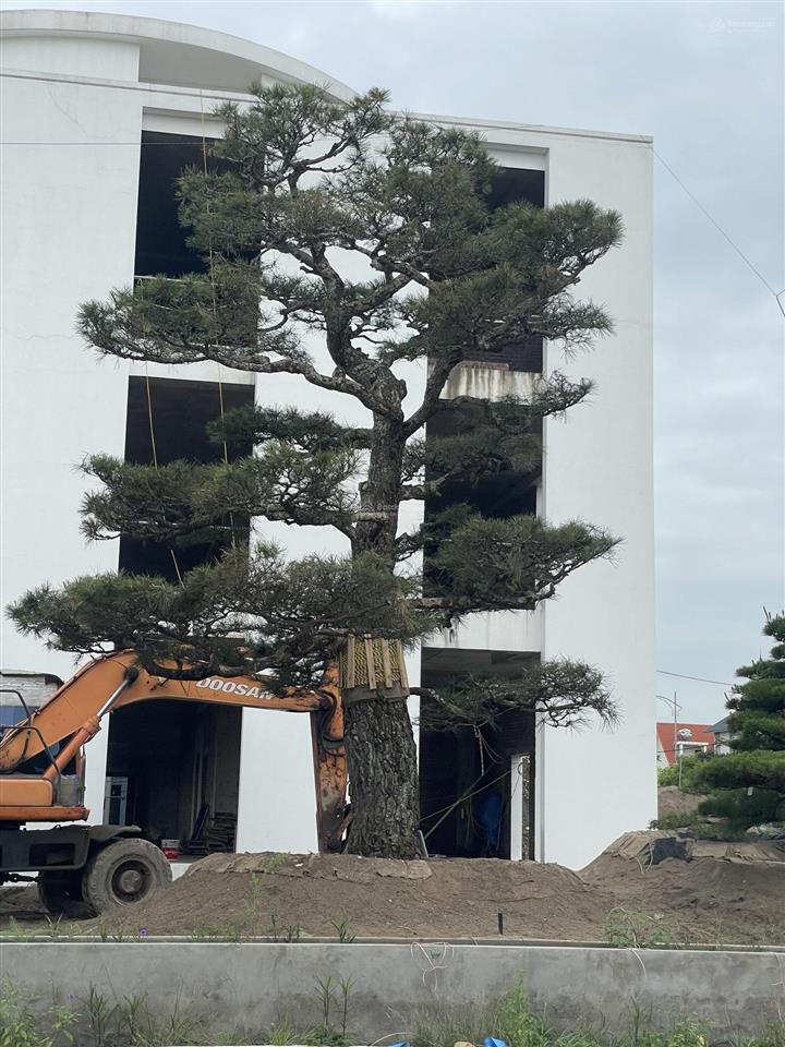 Bán căn biệt thự song lập anh dũng 7  hưng đạo!
vị trí mặt đường 25m nối cầu rào 3