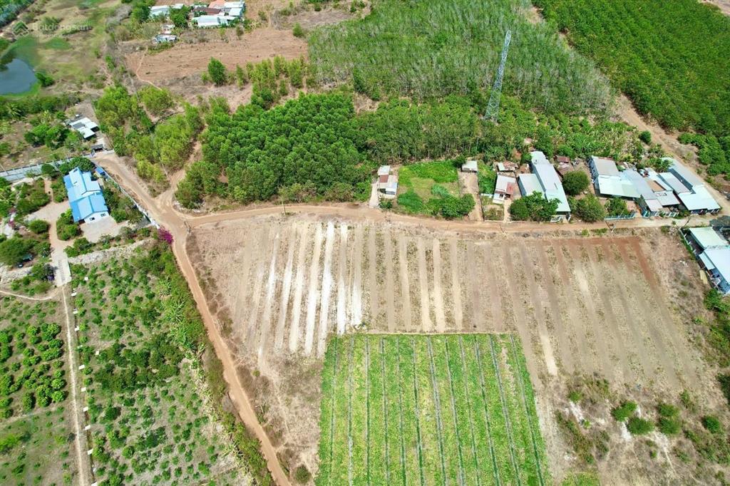Tìm nhà đầu tư cho 2 mẫu đất giáp hồ bàu mỹ  long phước, bà rịa, giá 2,4tr/m2