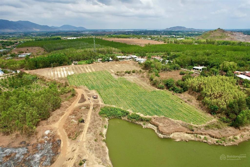 Tìm nhà đầu tư cho 2 mẫu đất giáp hồ bàu mỹ  long phước, bà rịa, giá 2,4tr/m2