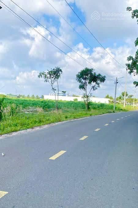 Bán đất quốc lộ 13, xã minh thạnh, huyện dầu tiếng, giá cực chất 3,899 tỷ, 250m2