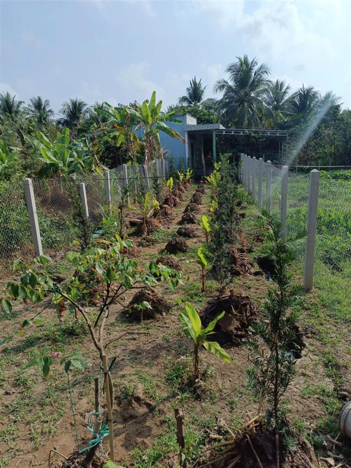 Bán đất tại xã bình trưng, đồng tháp (tiền giang), 850 triệu, 6x29,9 full thổ cư