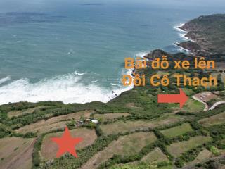 Đất đồi cổ thạch phú yên giáp đường ô tô, view 3 mặt biển gần gành đá đĩa