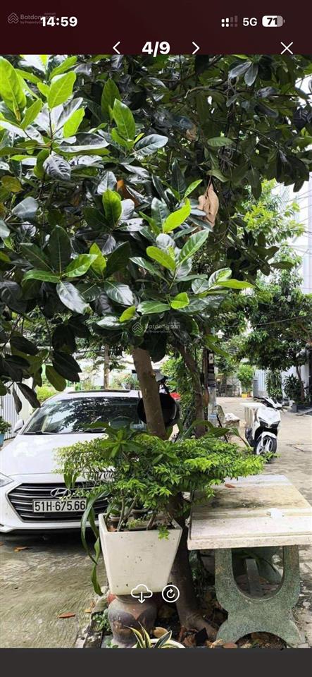 Bán gấp nhà riêng 56m2, 8,3 tỷ tại đường số 5, bình trưng, hcm