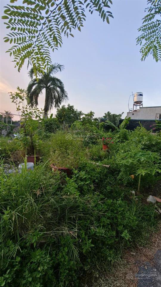 Cần bán mảnh đất tại ngũ hiệp, thanh trì, hà nội. ô tô vào tận đất, giá chỉ 1,3 tỷ