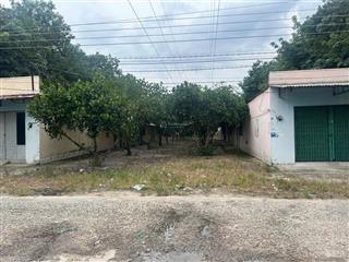 Chính chủ cần bán gấp lô đất vườn bù lỗ dt trên 1 sào có sổ riêng, sang tên ngay còn thương lượng