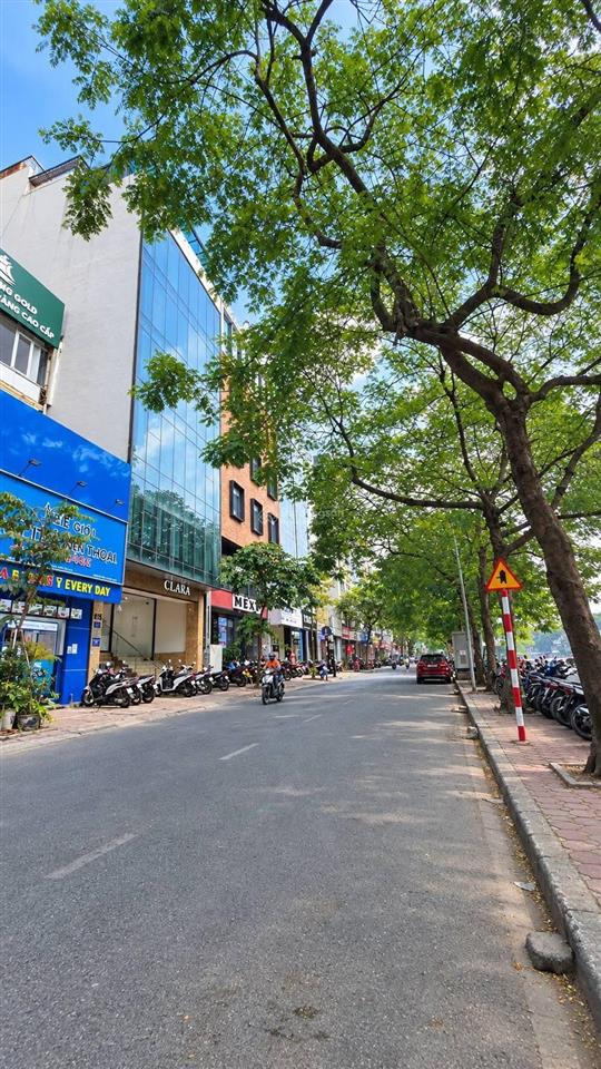 Cực hiếm! bán nhà mặt phố nguyễn khang. 98m, 8 tầng thang máy, kinh doanh sầm uất, giá đầu tư f0.