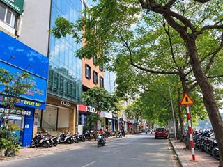 Cực hiếm! bán nhà mặt phố nguyễn khang. 98m, 8 tầng thang máy, kinh doanh sầm uất, giá đầu tư f0.
