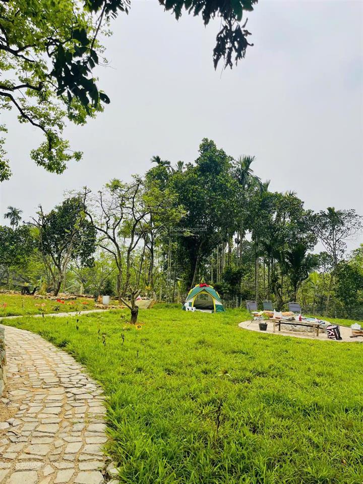 Bán đất thổ cư (963m2 thổ cư) tổng diện tích 1292,7m² xóm xuân hồng, xã đại huệ, nam đàn, nghệ an