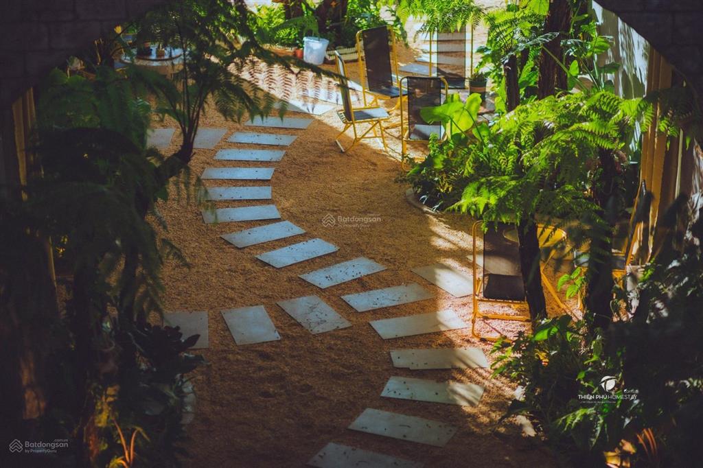 Chuyển nhượng homestay & coffee trung tâm măng đen đón sóng du lịch