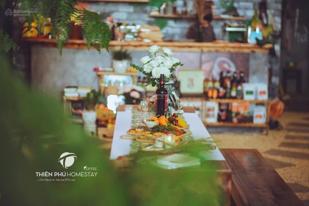 Chuyển nhượng homestay & coffee trung tâm măng đen đón sóng du lịch