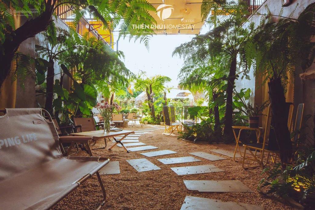 Chuyển nhượng homestay & coffee trung tâm măng đen đón sóng du lịch
