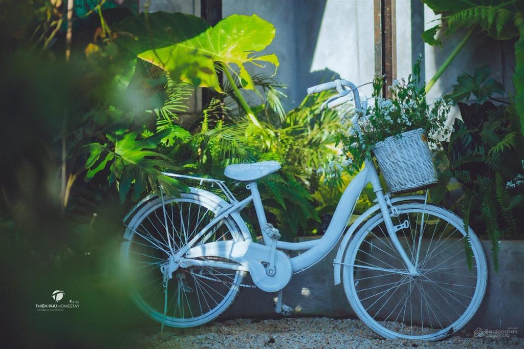 Chuyển nhượng homestay & coffee trung tâm măng đen đón sóng du lịch