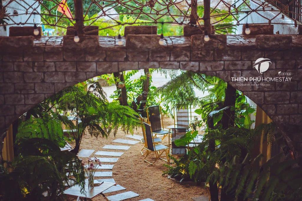 Chuyển nhượng homestay & coffee trung tâm măng đen đón sóng du lịch