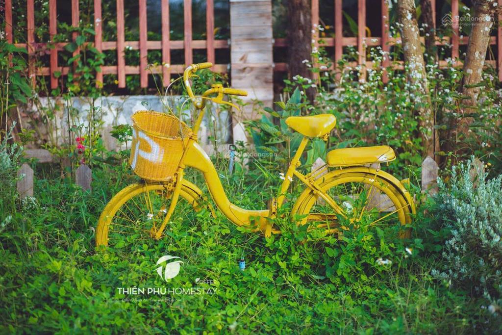 Chuyển nhượng homestay & coffee trung tâm măng đen đón sóng du lịch