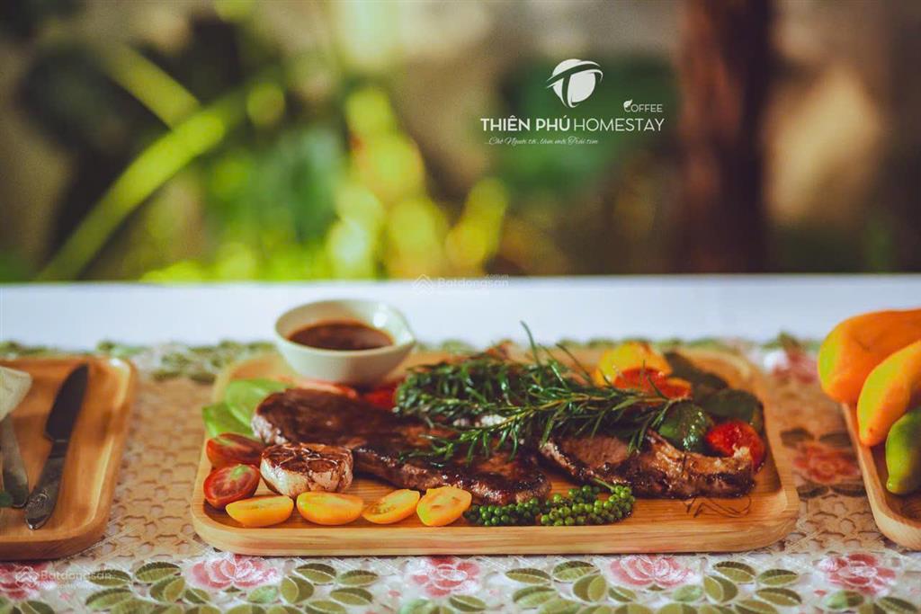 Chuyển nhượng homestay & coffee trung tâm măng đen đón sóng du lịch