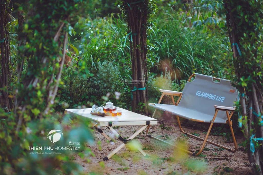 Chuyển nhượng homestay & coffee trung tâm măng đen đón sóng du lịch