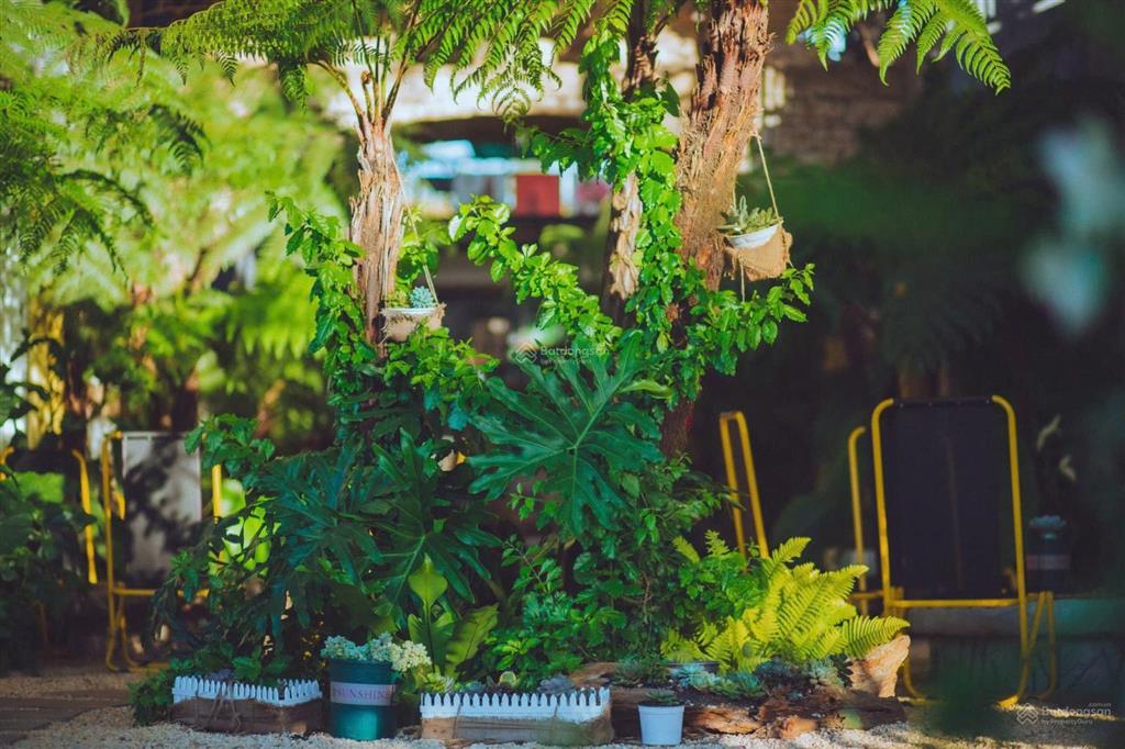 Chuyển nhượng homestay & coffee trung tâm măng đen đón sóng du lịch