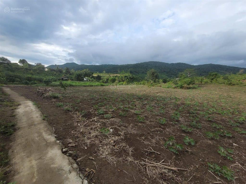 Bán 2 lô đất liền kề ea hmlay, mđrắk giá tốt chỉ 1.93 tỷ