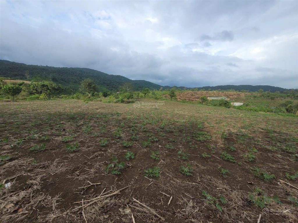 Bán 2 lô đất liền kề ea hmlay, mđrắk giá tốt chỉ 1.93 tỷ