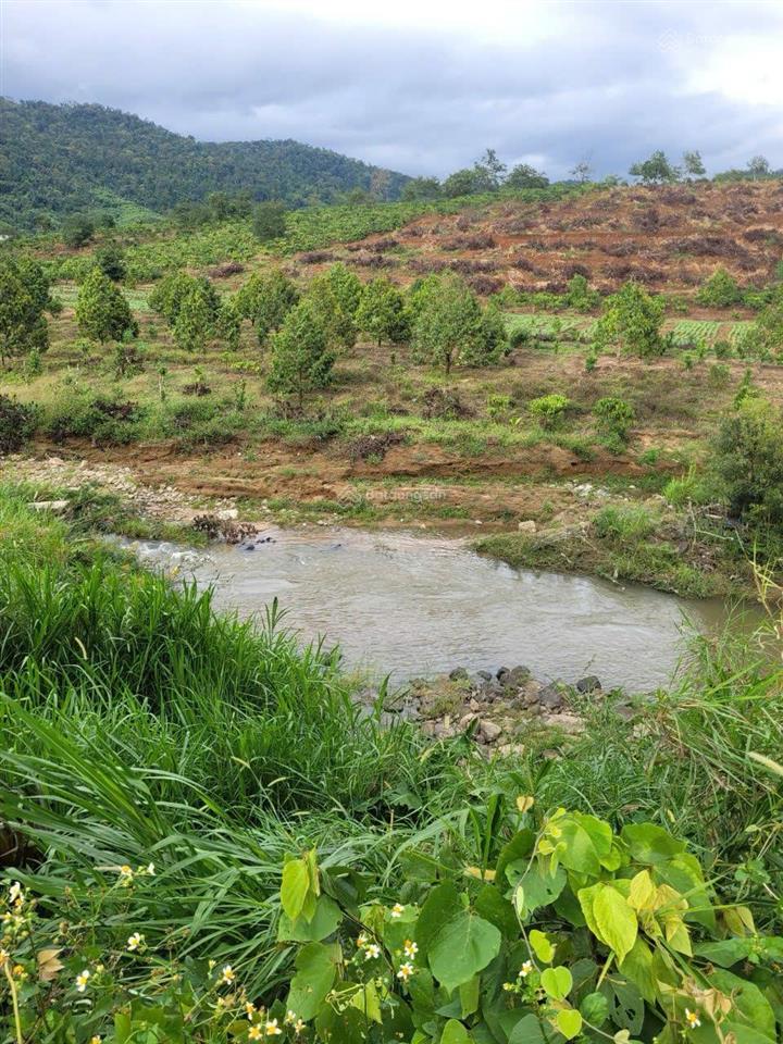 Bán 2 lô đất liền kề ea hmlay, mđrắk giá tốt chỉ 1.93 tỷ