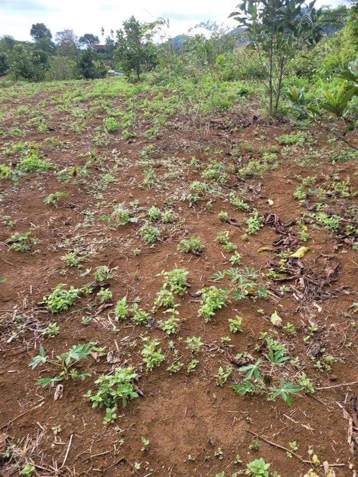 Bán 2 lô đất liền kề ea hmlay, mđrắk giá tốt chỉ 1.93 tỷ