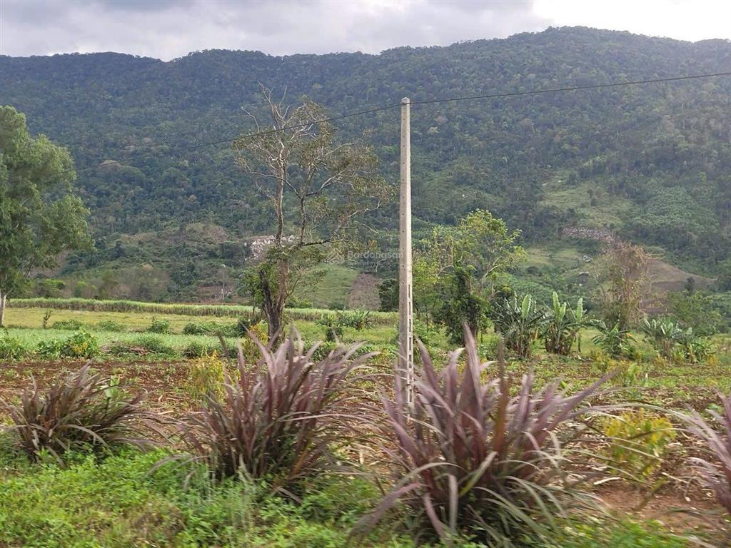 Bán 2 lô đất liền kề ea hmlay, mđrắk giá tốt chỉ 1.93 tỷ