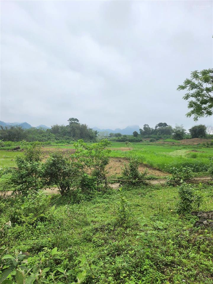 Chính chủ cần chuyển nhượng thửa đất đẹp tại phú vinh  tân lạc  hòa bình (nay là phú thọ)