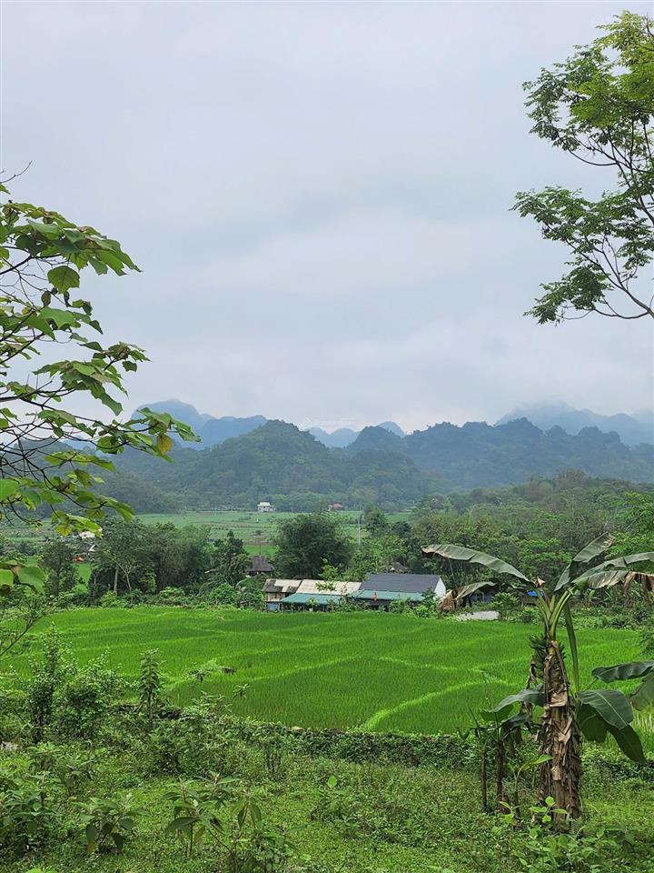 Chính chủ cần chuyển nhượng thửa đất đẹp tại phú vinh  tân lạc  hòa bình (nay là phú thọ)
