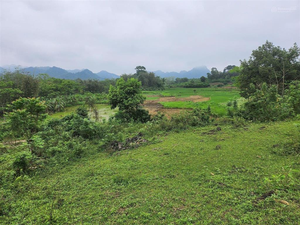 Chính chủ cần chuyển nhượng thửa đất đẹp tại phú vinh  tân lạc  hòa bình (nay là phú thọ)