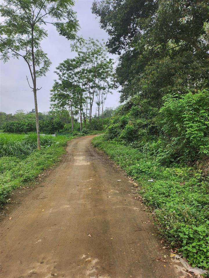 Chính chủ cần chuyển nhượng thửa đất đẹp tại phú vinh  tân lạc  hòa bình (nay là phú thọ)