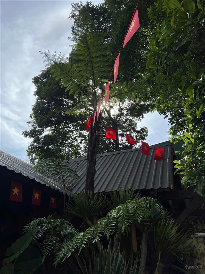Lô góc mặt tiền lý thái tổ trung tâm măng đen