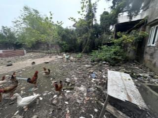 Fo thanh oai 1000m2, giá đầu tư, anh chị em quan tâm  trực tiếp cho em