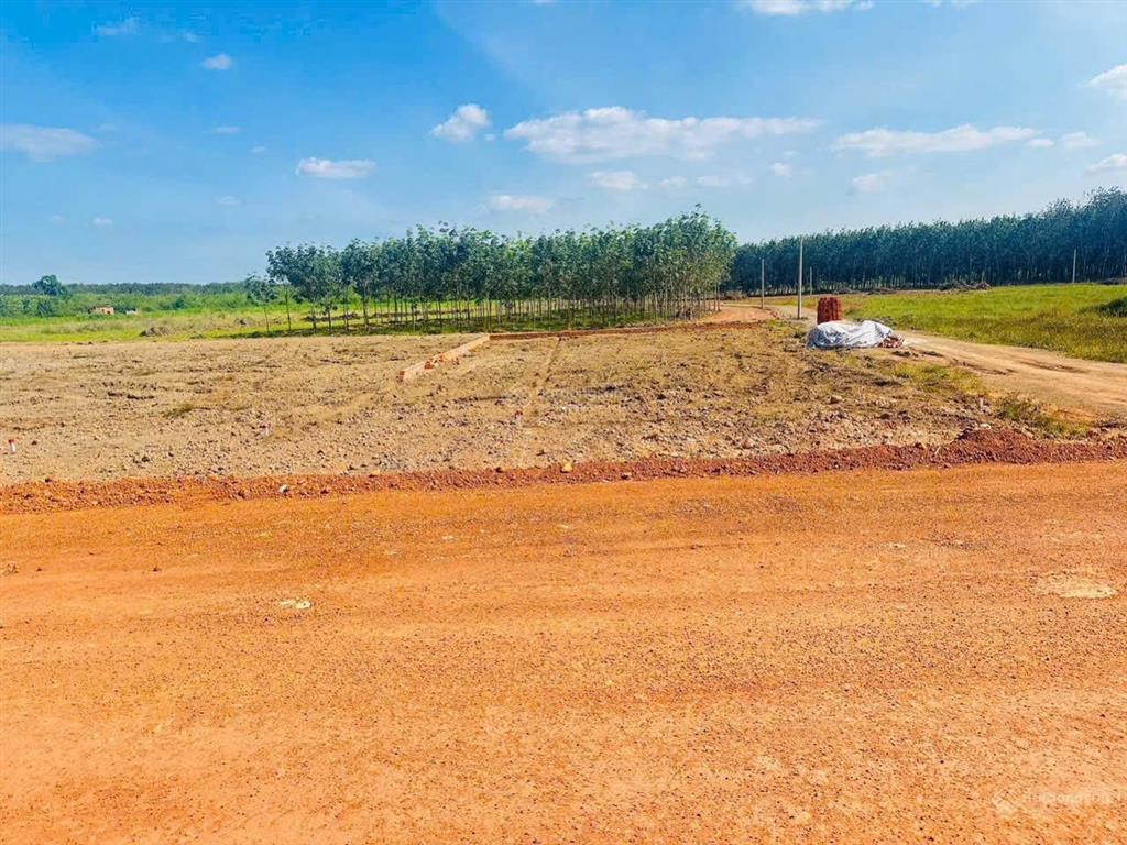Chủ bán lô đất, mặt tiền đường xuyên tâm 32m, thổ cư sổ sẵn