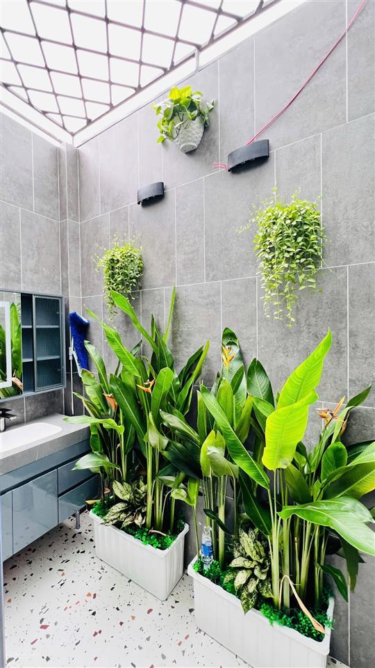Nhà phố (4.2mx17m) 5 tầng xây mới 2025 khu vip hà huy giáp ngay cđ điện lực. khu phân lô hẻm 12m