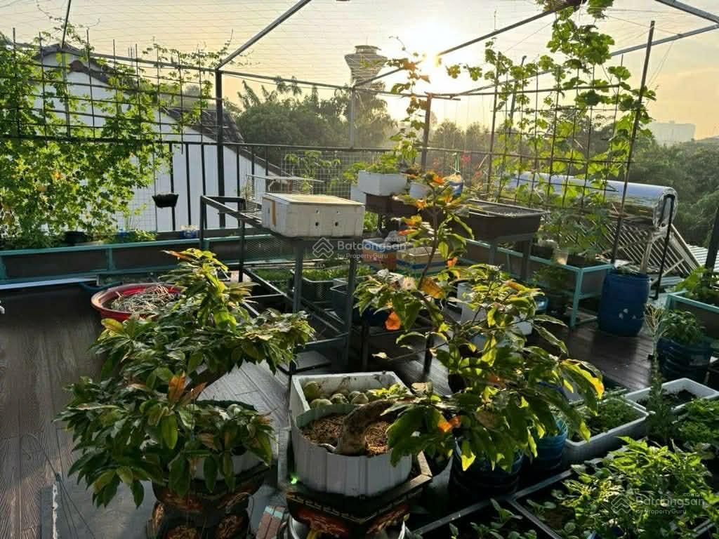 Biệt thự mini ngang 6.5m vị trí đẹp không tì vết  công viên xanh mát kdc đường 10m chợ hiệp thành