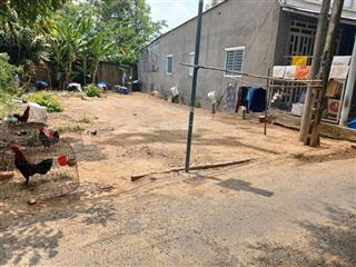 Đất nền xã hội an đông lấp vò đồng tháp, diện tíc 10 x 25m có 100m2 thổ cư