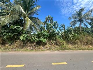 Bán đất chính chủ tại suối mơ, tân phú, đồng nai