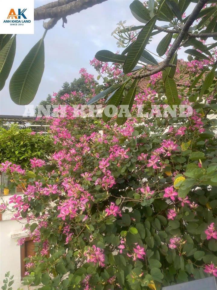 Biệt thự view sông khu compound  mang lại giá trị đẳng cấp  250m2 ngang 10m x 25m