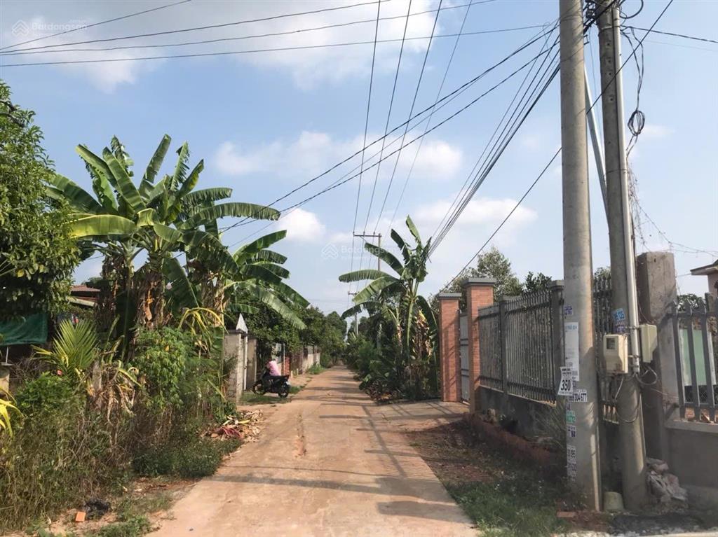 Bán vườn trái cây đất đỏ, đường bê tông, giáp nhựa, giá 1,79 tỉ.