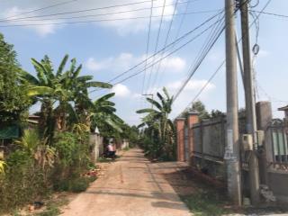 Bán vườn trái cây đất đỏ, đường bê tông, giáp nhựa, giá 1,79 tỉ.