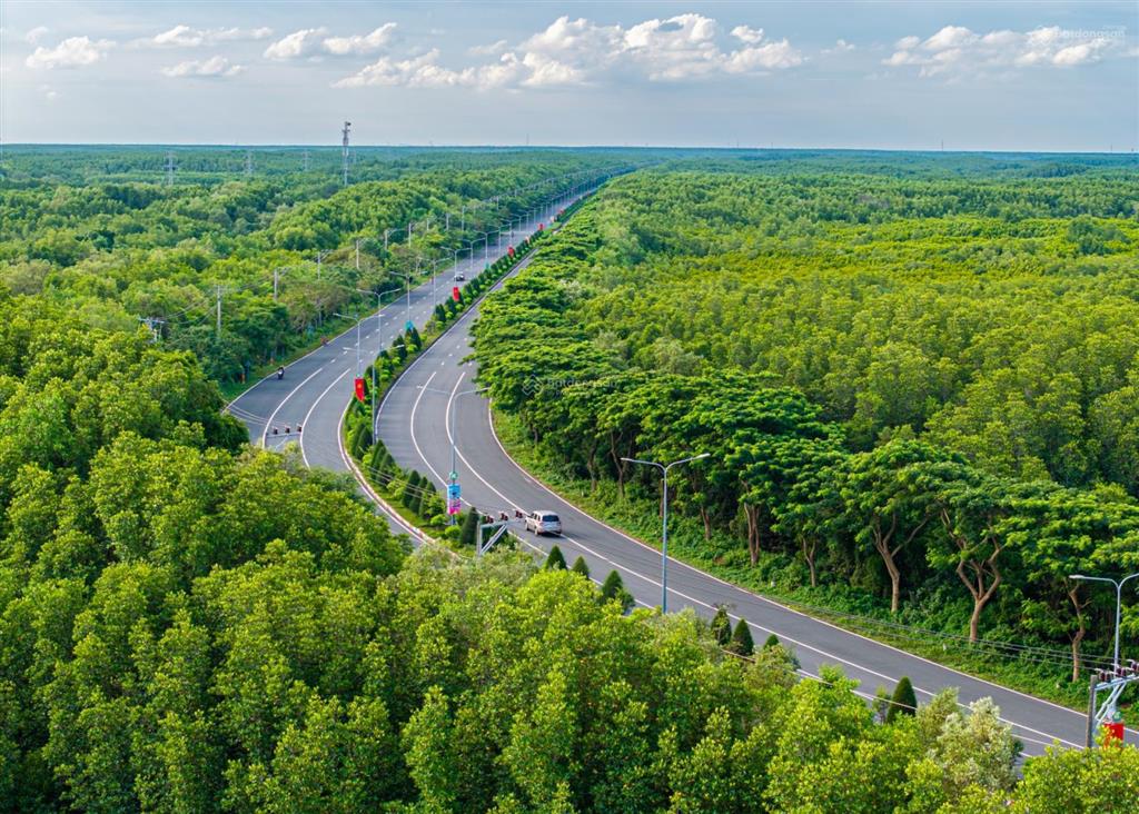 Hót nhất cả nước cần giờ. 2.833m2, tại xã bình khánh, giá 8,5 tỉ