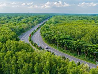 Hót nhất cả nước cần giờ. 2.833m2, tại xã bình khánh, giá 8,5 tỉ